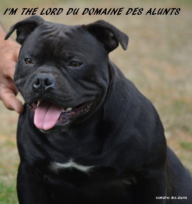 du domaine des Alunts - I'M THE LORD EN SAILLIE COURANT FEVRIER !