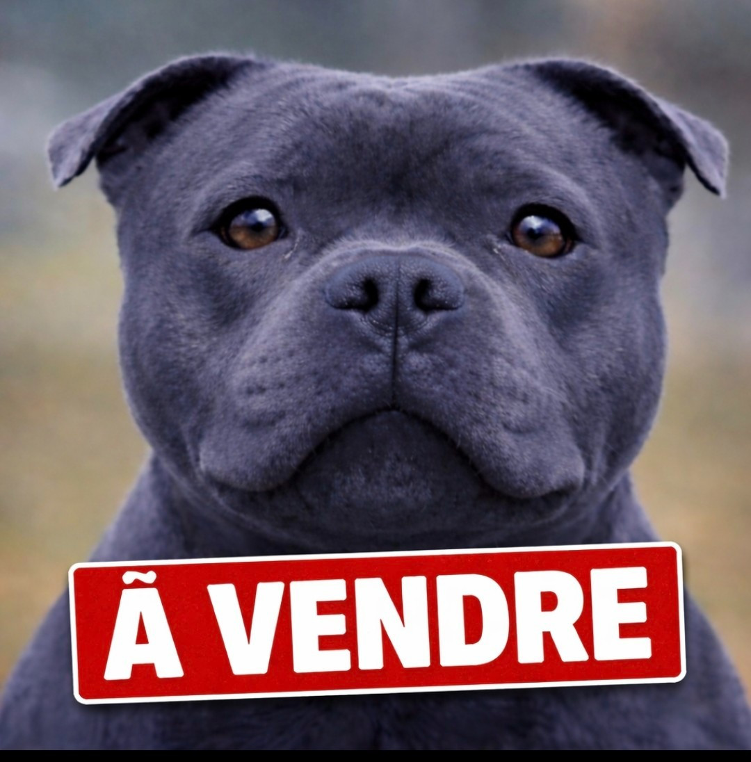 Avril dit atomic blue girl at domaine des alunts