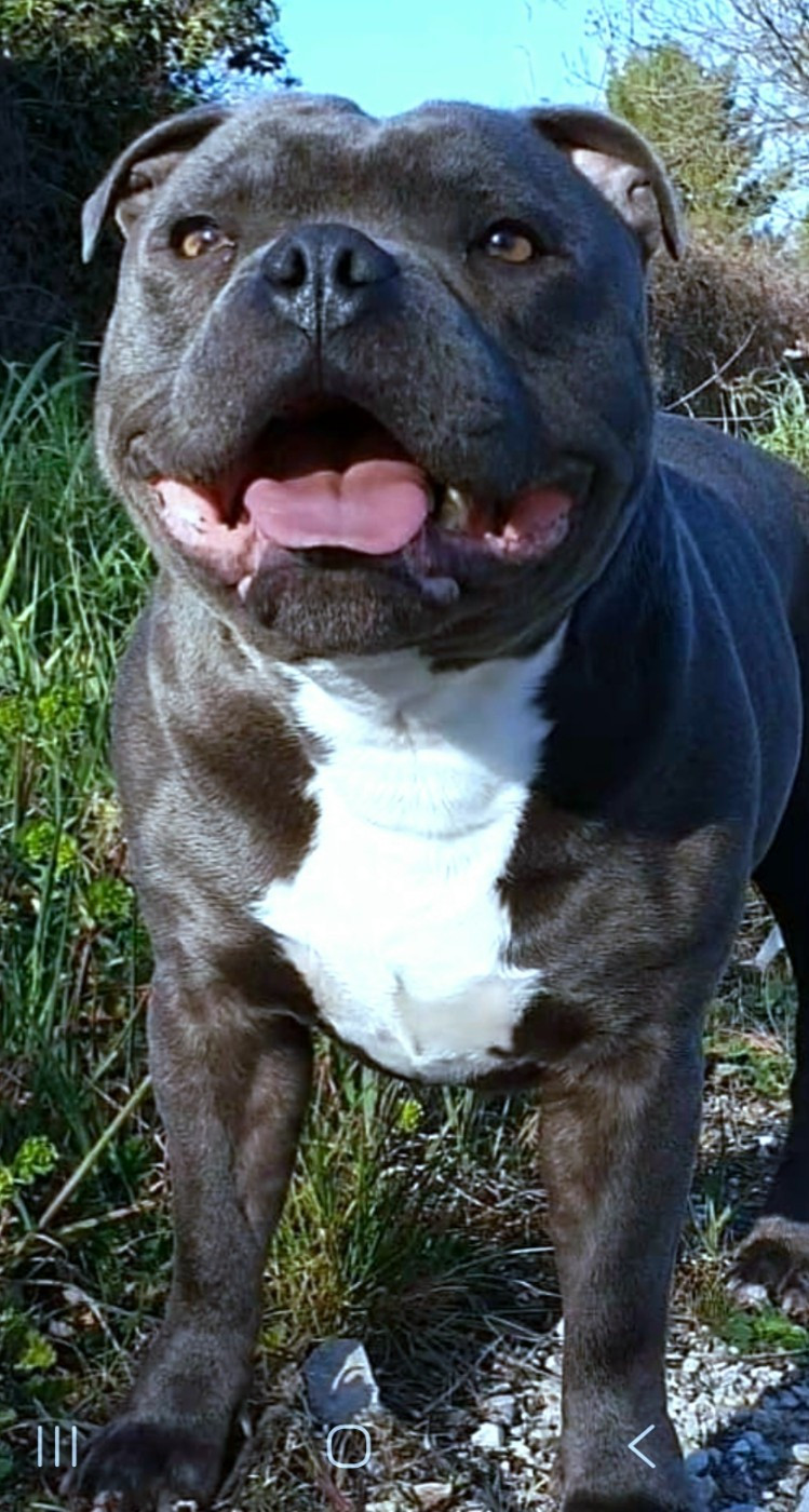 Saillie etalon domaine des Alunts